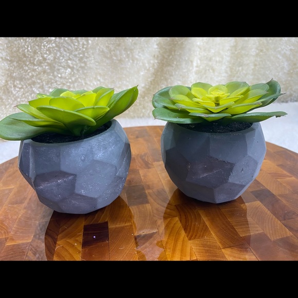 Faux Succulent, in 3”H circular pot (2 available for individual purchase) - Picture 9 of 11